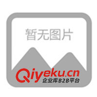 廣州地區(qū)柴油發(fā)電機(jī)大修，廣州地區(qū)柴油發(fā)電機(jī)組大修(圖)